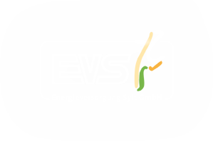Logo Energieversorgung Sylt