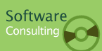 Software Consulting