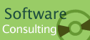 Software-Consulting