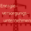 Energieversorgungsunternehmen (EVU)